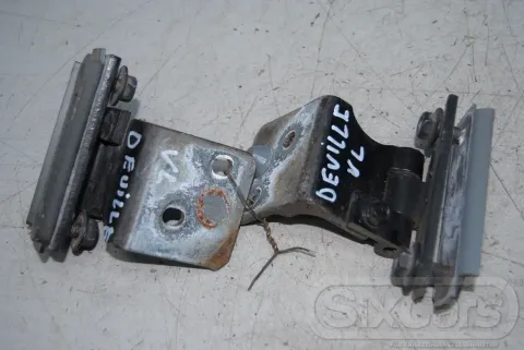 Article ZL5M