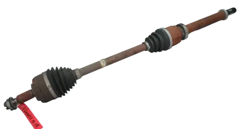 Article D2W2