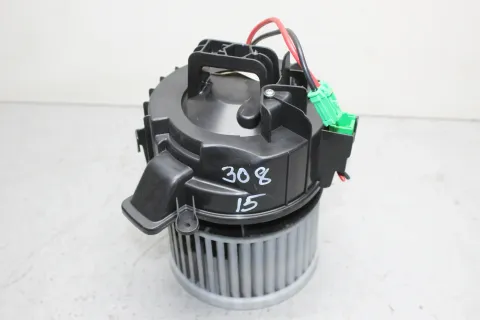 Article 5Z99