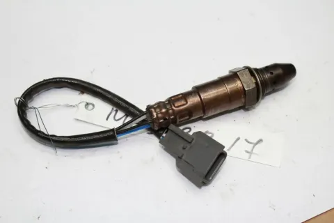 Article DMP2