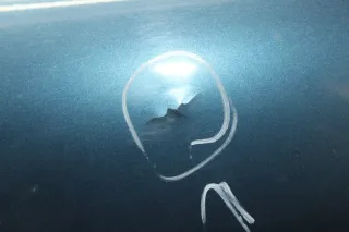 Kotflügel vorne rechts Farbcode 300 Saab 9-3 YS3F Bj.07 - Bild 4