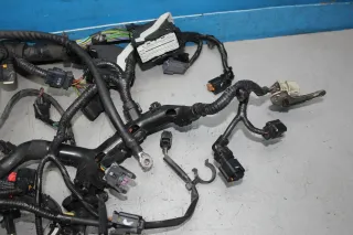 Motorkabelbaum Motorleitungssatz FV4T-12A690-MEC Ford Kuga II DM2 2.0 TDCi Bj.15 - Bild 4