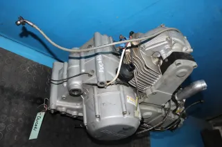 Motor 748 ccm code ZDM748A2C Motorrad Ducati Monster 750 Bj.2001 - Bild 3