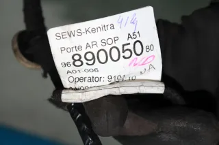 Türkabelbaum Tür Kabel hinten rechts 9689005080 Citroen C3 II SC Bj.10 - Bild 2