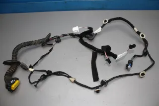 Türkabelbaum Kabelbaum hinten links 241270171R Renault Scenic 4 IV Bj.17 - Bild 1
