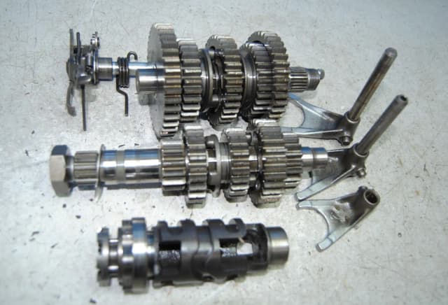 Article YARD