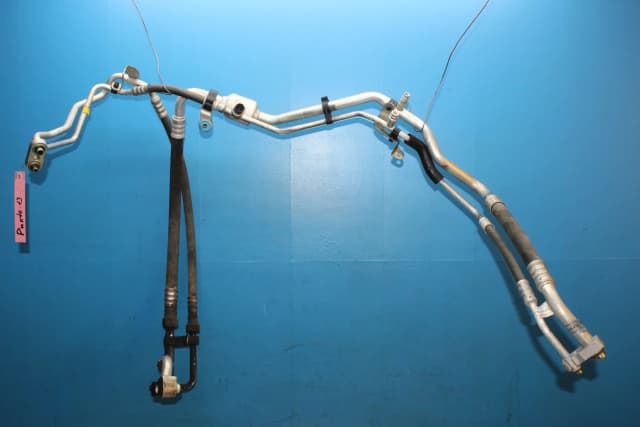 Article BAV5